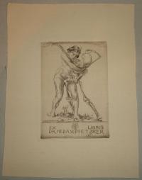 Seufferheld, Heinrich 1866-1940: Ex libris Dr. Med. A. W. Pietzcker